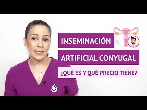 ¿Qué es la inseminación artificial conyugal y qué precio tiene?