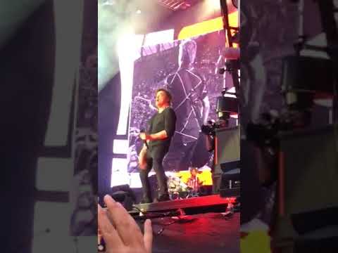 Die Toten Hosen 24.5.2018