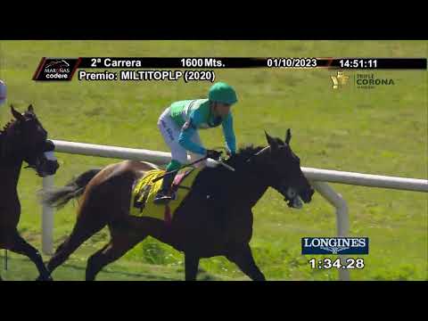 231001 c02 MUCHO LOCO (BRZ)