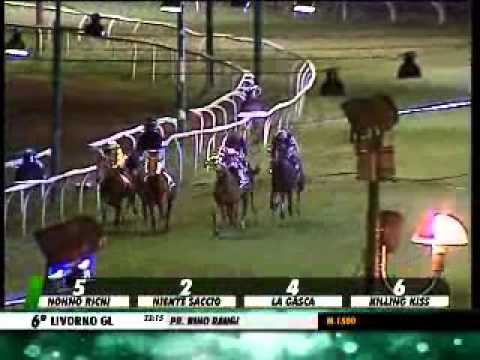 01/09/2013, Livorno , Premio Bino Raugi