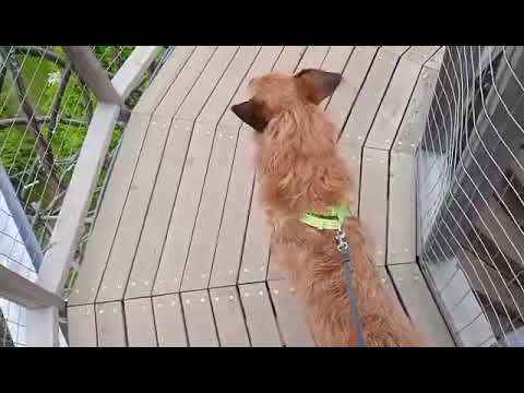 ROZHLEDNA Doubravka PRAHA 9, Pokořena fobie, závratě - 2021-05-30