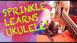 Sprinkle Learns How to Play Treeline