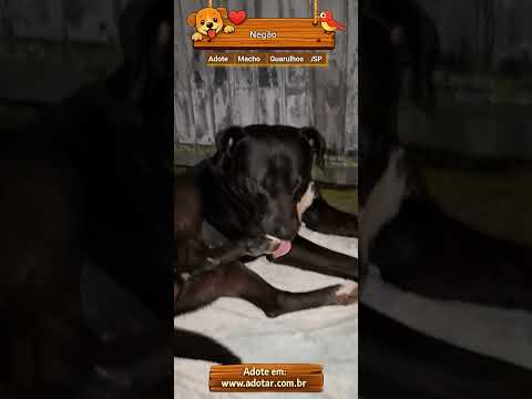 Vídeo de Negão