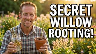 Grow Willows in Days Using This Simple Method