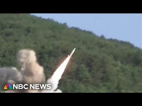 Pentagon pauses weapons shipment to Ukraine