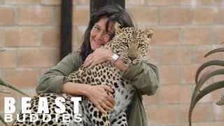 Leopard Lady Living With Wild Cats | BEAST BUDDIES by Barcroft Animals