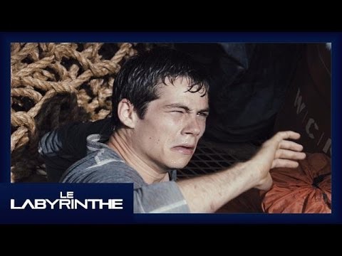 Le Labyrinthe : Bande annonce [Officielle] VF HD