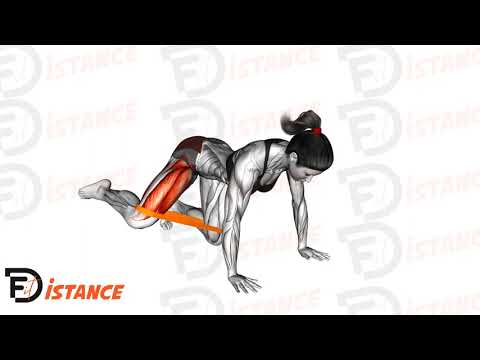 Exercice Kickback latéral élastique (à genoux)