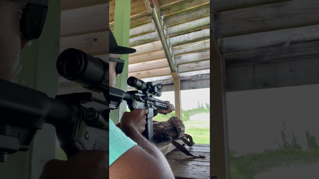 PMC Bronze .223 REM (Range day)