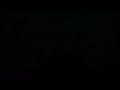 Dsxs