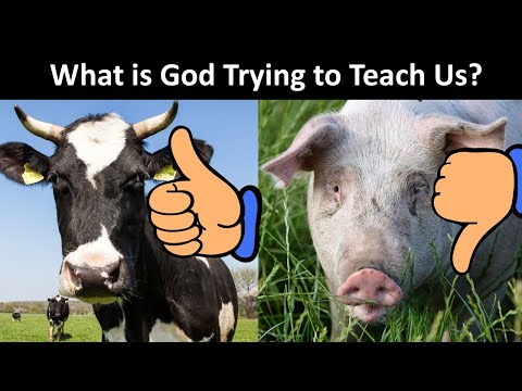 Forbidden Foods in the Bible Explained | Leviticus 11 | Jewish Dietary Laws