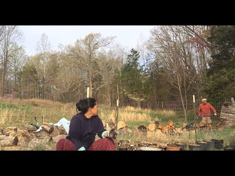 Mysterious Creature SCREAMS From Forest As Frightened Couple Does Morning Chores