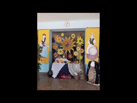 School introduction, OŠ Vrgorac