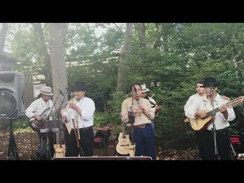 Quichua Mashis - Seattle, Washington 2015