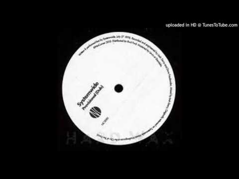 Systemwide - Provisional (Dub 12'') (2000) Video