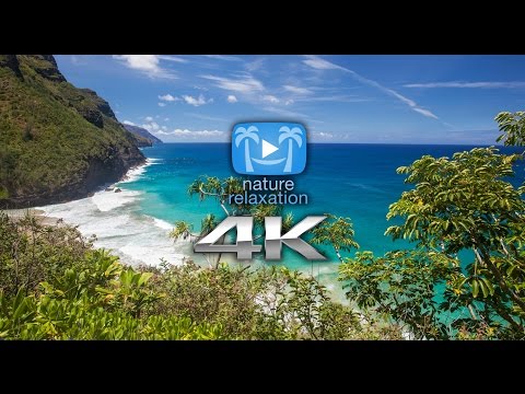 90 Second Peaceful Relaxation | a 4K Nature Relaxation™ Video
