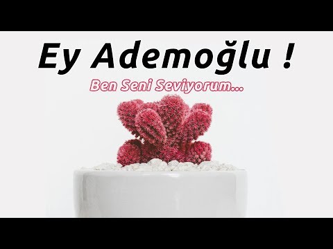 Ey Ademoğlu! Ben Seni Seviyorum...❤🌹