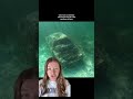 A Diver Found a Sunken Car with a Body Still Inside #horror #creepy #storytime #disturbing #viral