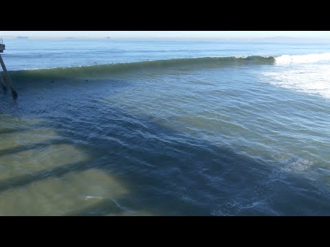 Huntington Beach, CA, 1/17/2021 AM - Part 13