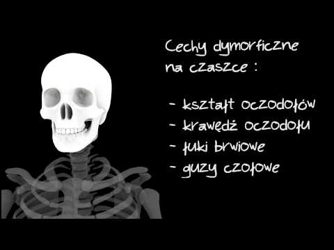 Zanik mięśni dłoni dziecka Słowa do mięśni piosenka facet wstrząsnąć