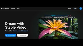 Stable Video Nasıl Kullanılır?