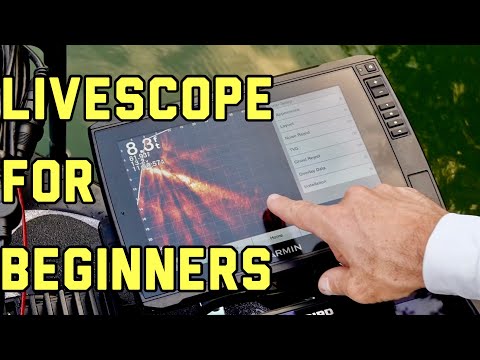LIVESCOPE FOR BEGINNERS