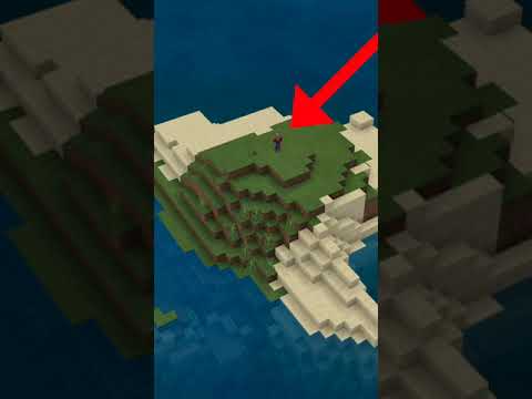 Top 5 Tips & Tricks for your Minecraft Survival World