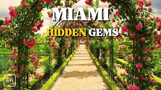 Secret Spots in Miami No One Talks About | Travel Tour Guide