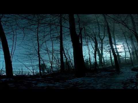 Le Baxx²3 - Fréquence Nocturne