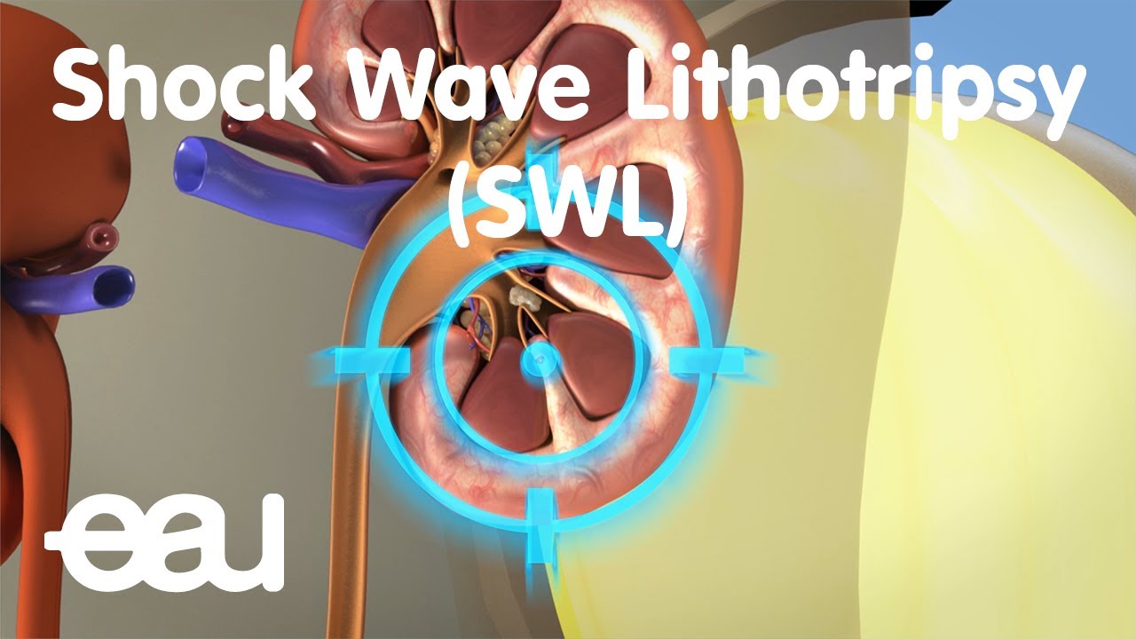 José Aguilar Moreno-11