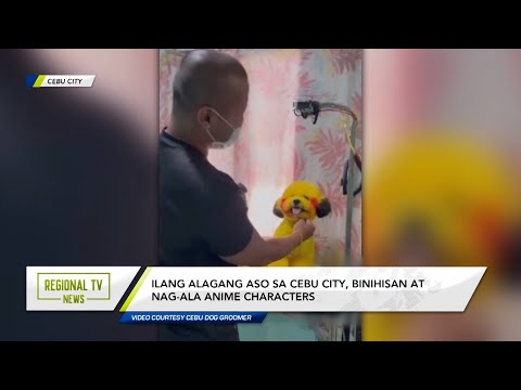 Regional TV News: Ilang alagang aso sa Cebu City, binihisan at nag-ala anime characters
