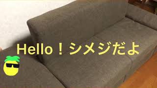 ソファーベッドです。