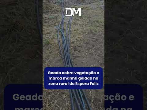 Geada cobre vegetação e marca manhã gelada na zona rural de Espera Feliz