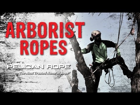 Pelican Arborist 16 Strand 1/2 Inch Kernmantle Rope
