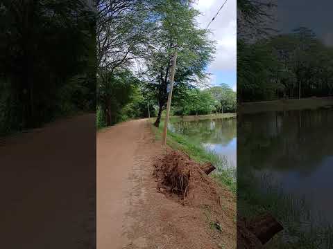 #agroalves Rio do Antônio bahia