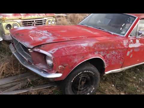 1967 mustang gta fastback