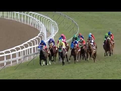 VAN HALEN - World Sports Betting Mercury Sprint