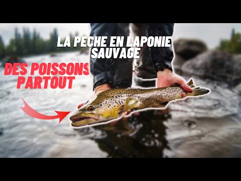 Pêche à la mouche, au leurre et au toc en Laponie Sauvage - Fly fishing in Lapland