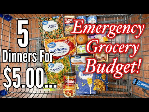 $5 Family Dinners | Easy & Delicious Meals on an EXTREME BUDGET!