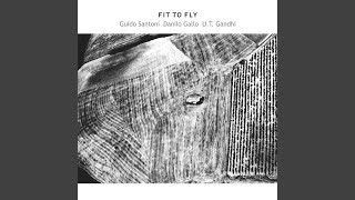 Fit To Fly