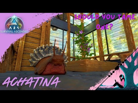 Ark: Survival Ascended | Achatina taming - Is it worth it?