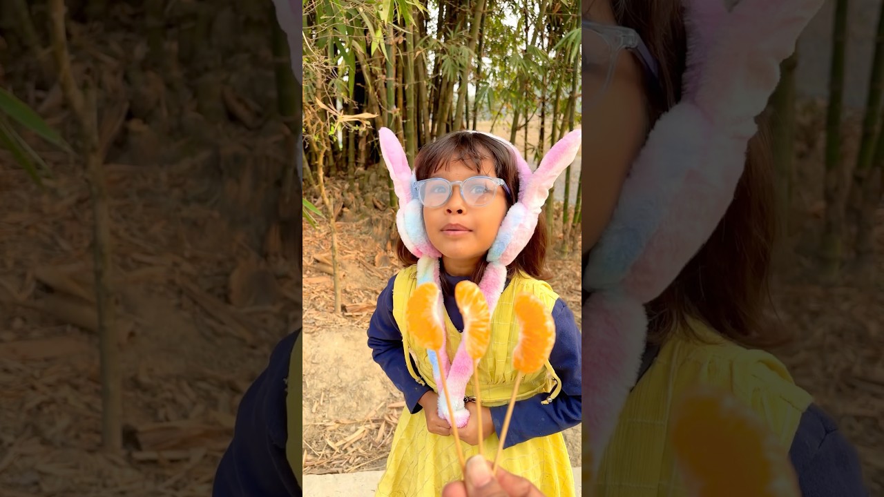 The Funniest Nimbooda Fails Ever