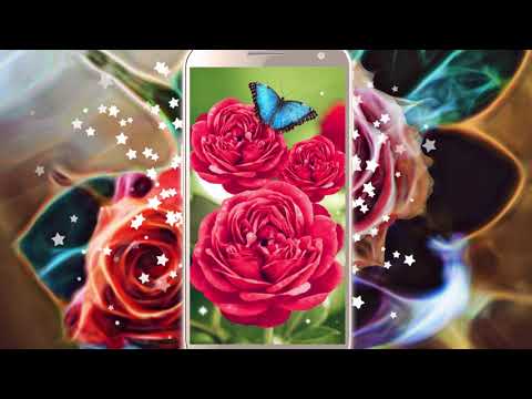 Roses live wallpaper. Beautifu Video