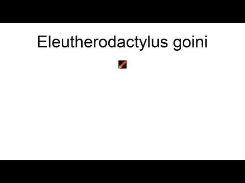 IUCN分類における絶滅の危険性を示す図。