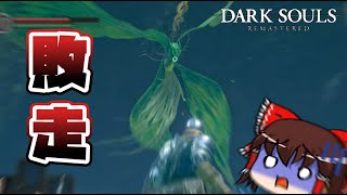 『月光蝶』とかいう蟲野郎が近距離アンチすぎて泣いた【DARKSOULS(REMASTERED)ゆっくり実況】#5