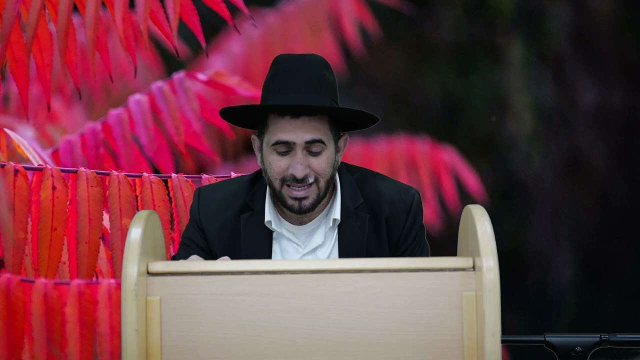 הרב זל"א | משדר חירום מיוחד🔴| מידת הביטחון שיעור מטורף לרגל המלחמה באיראן!!! !