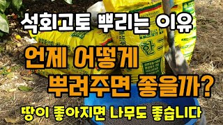 과일 수확 후 석회고토 뿌리는 이유 언제 어떻게 뿌려주면 좋을까 토양개량제 칼슘비료 토양검사 토양ph