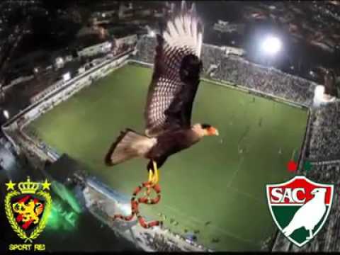 Salgueiro 2 x 0 Santa Cruz