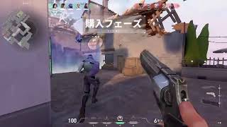 初valo