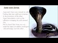 The Myth Of Apep And Atum Chaos Vs Order The Creation Myth Of The Kemetu ChaosVsOrder Kemetu